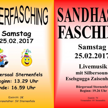 Fasching in Sternenfels am 25.02.2017